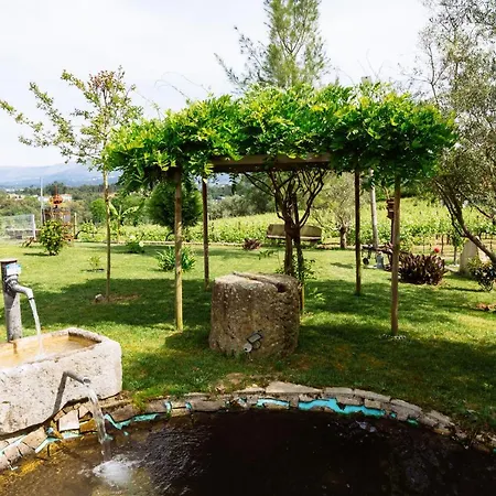 Quinta Da Carvalhosa *